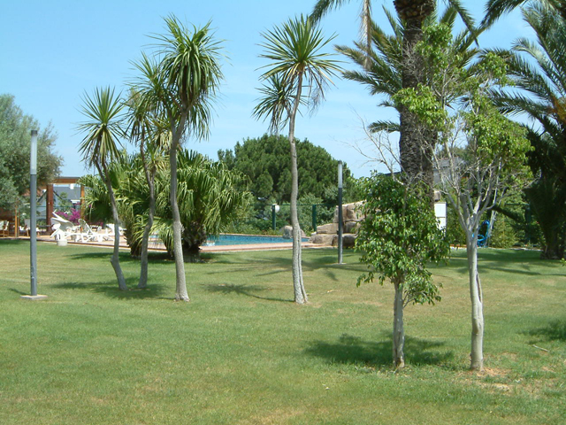 T156734-vista-jardin-5